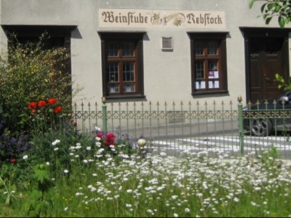 照片: Zum goldenen Rebstock